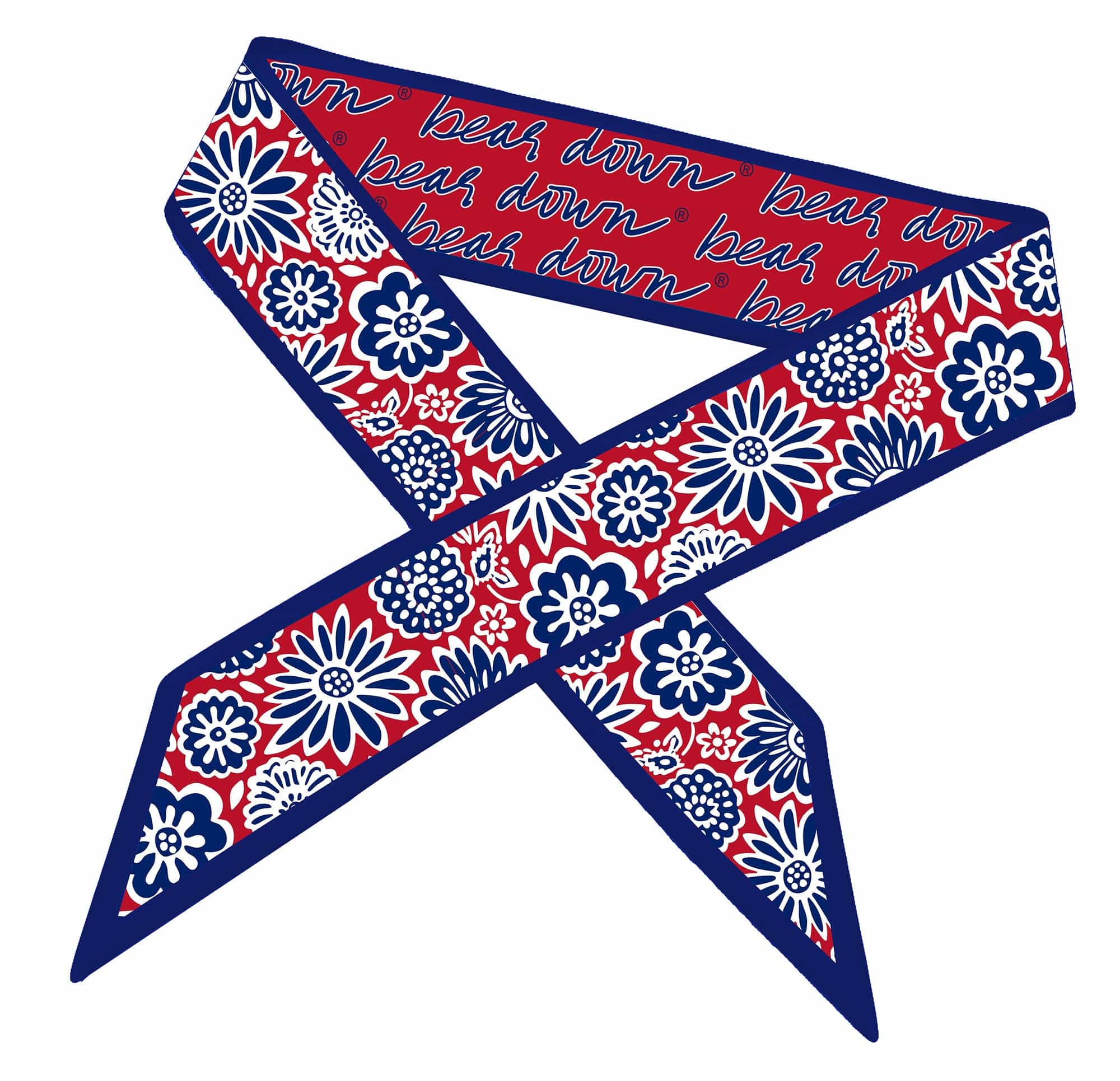 Skinny Scarf – Arizona Wildcats