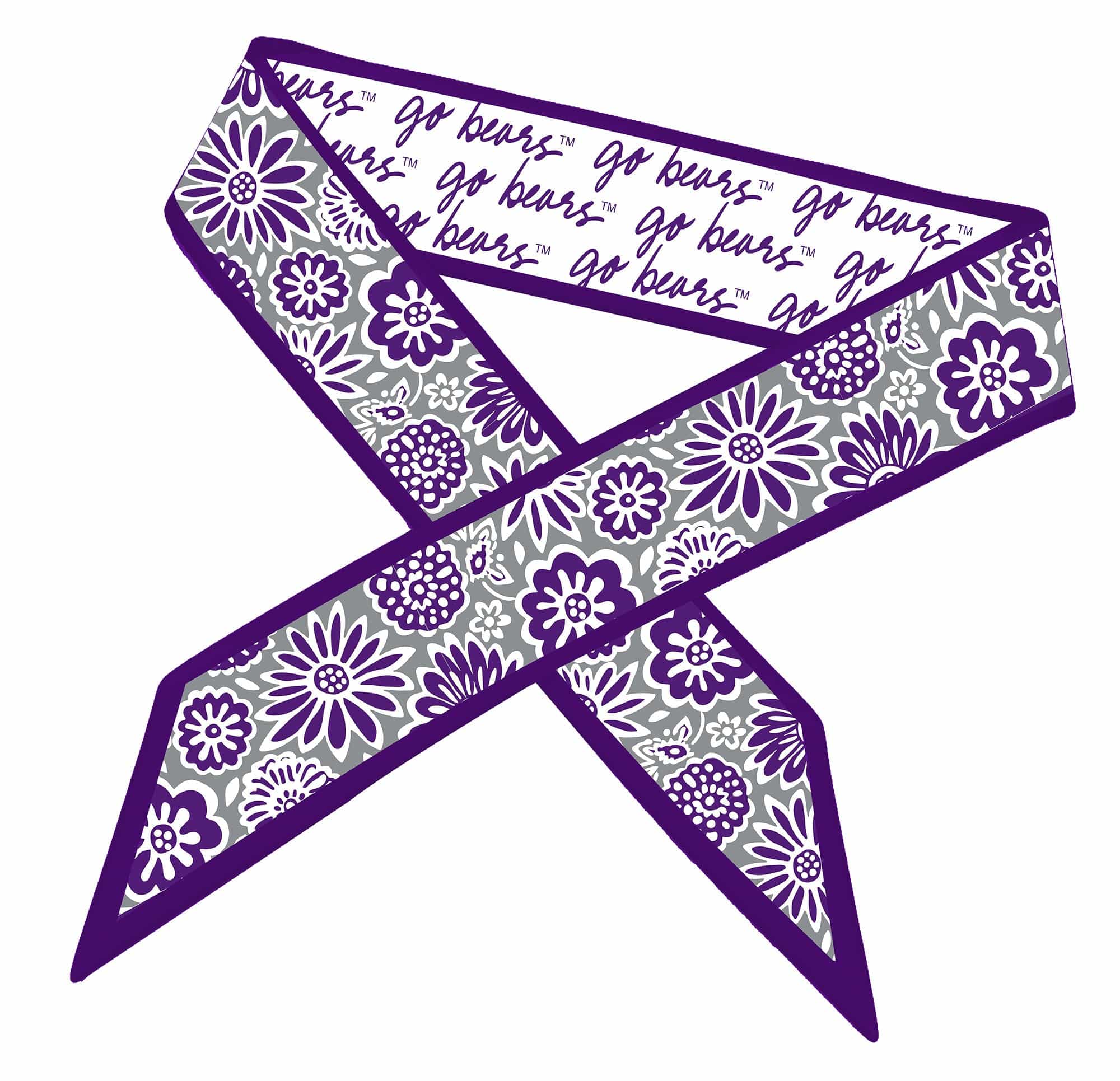 Skinny Scarf – Central Arkansas Bears