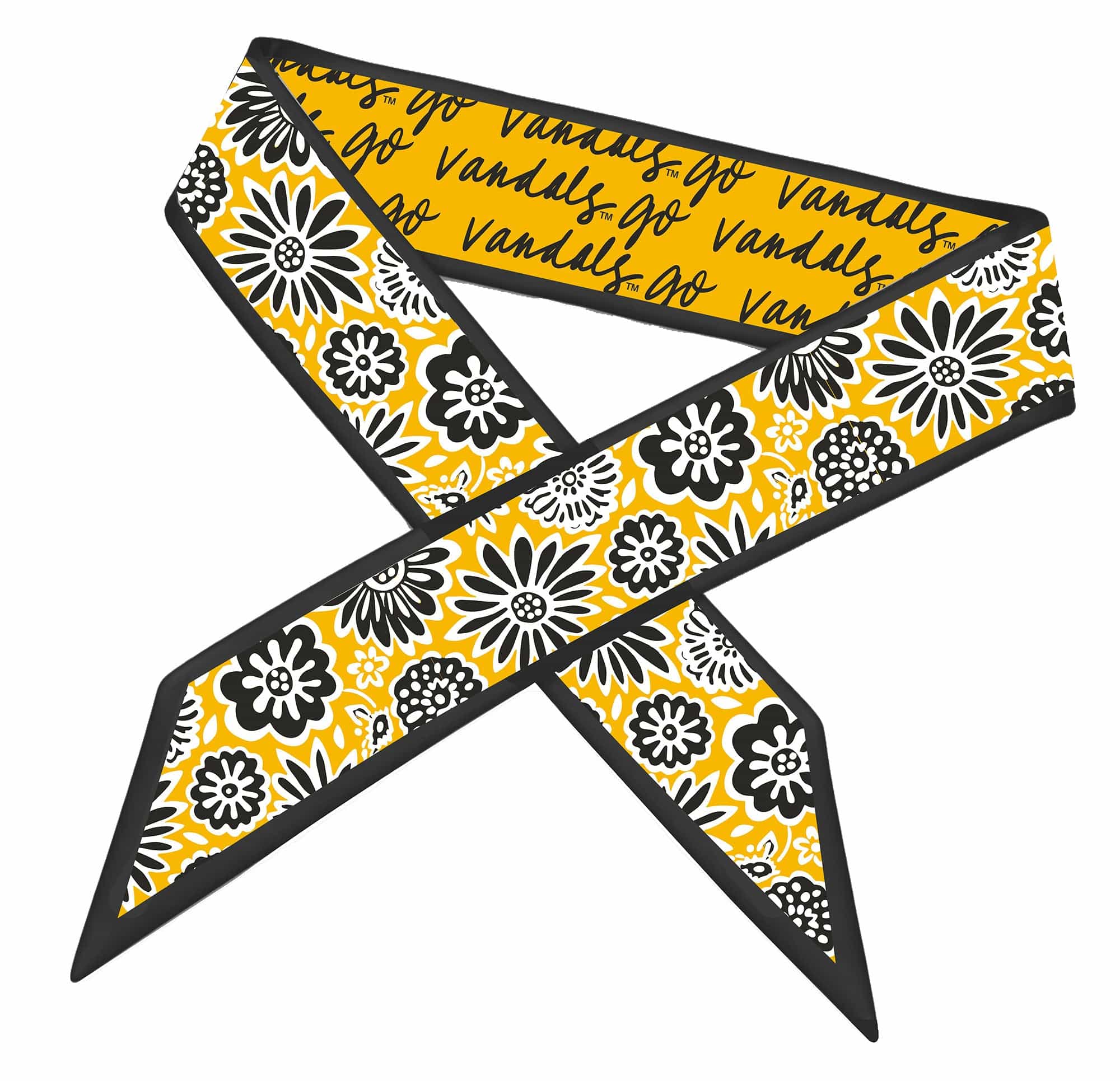 Skinny Scarf – Idaho Vandals