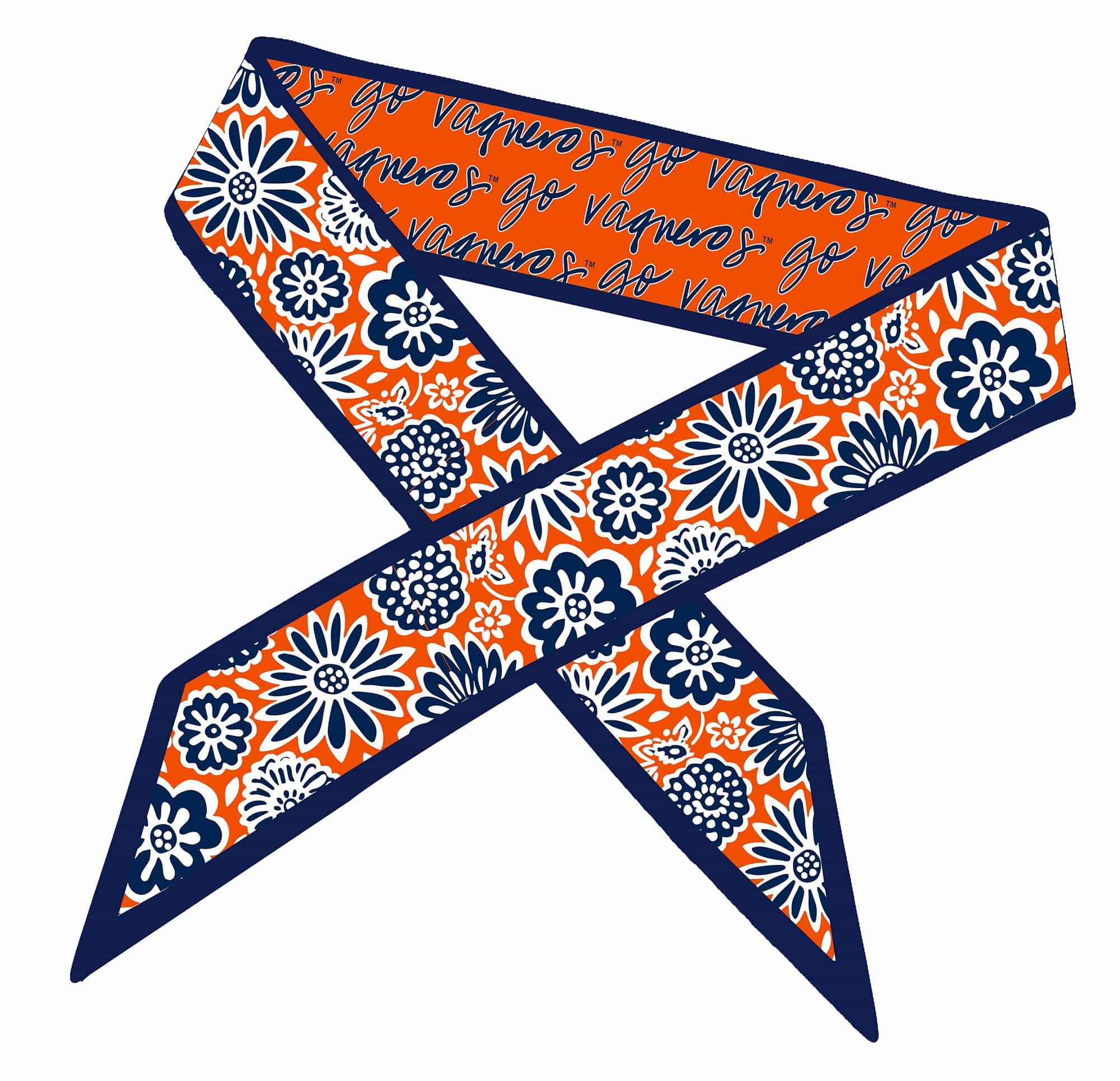 Skinny Scarf – Texas-Rio Grande Valley Vaqueros